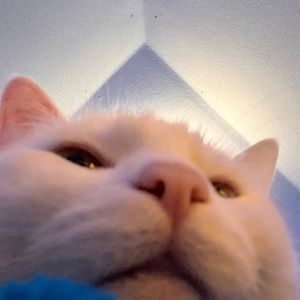 Meet your Posher, Cariana